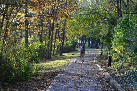 Recreation Management