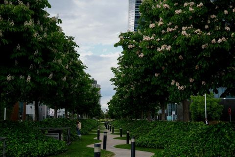 Urban Forestry