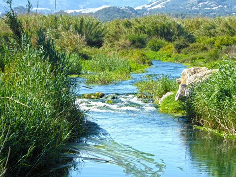 Watersheds and Hydrology